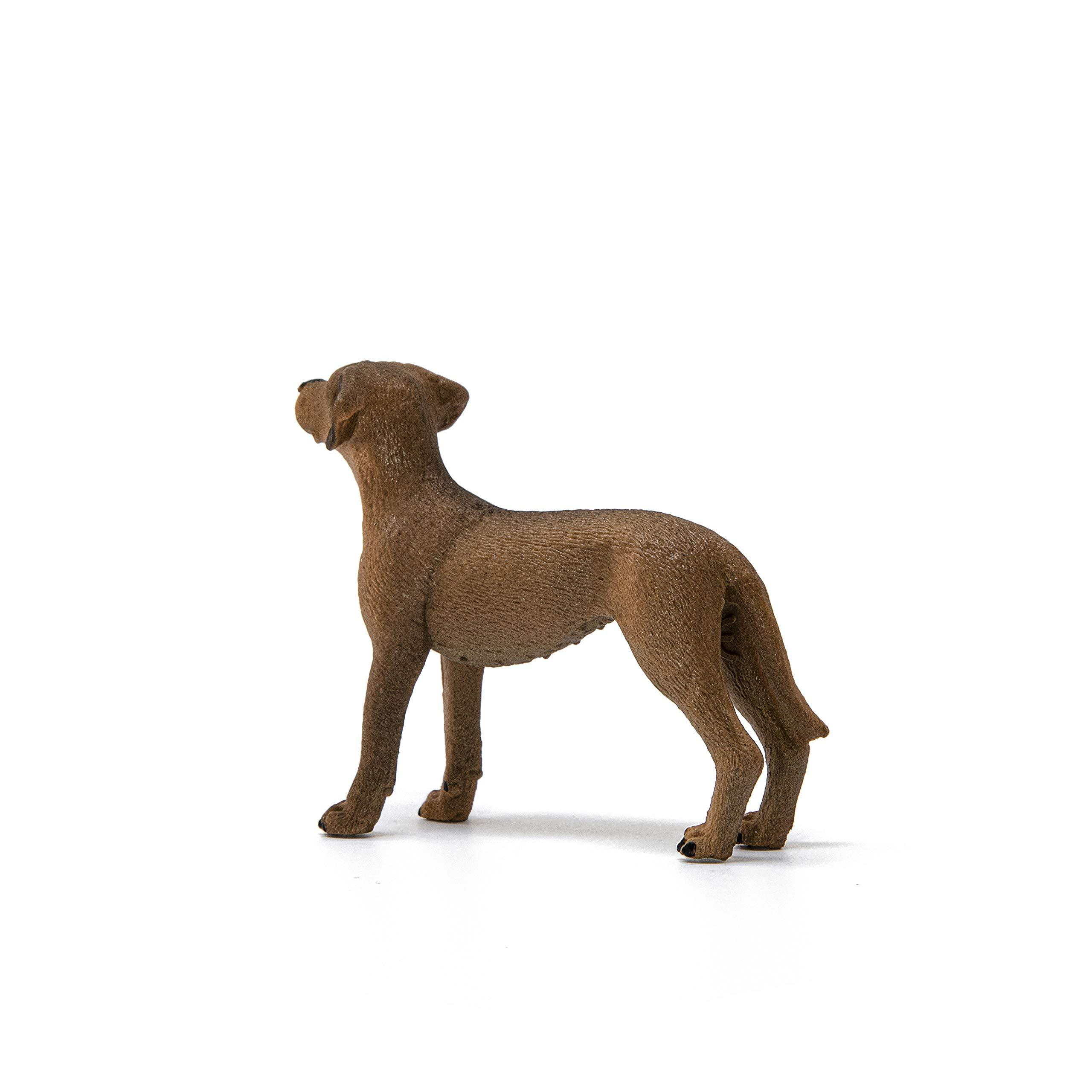 Schleich 13895 Rhodesian Ridgeback Schleich 13895 Rhodesian Ridgeback